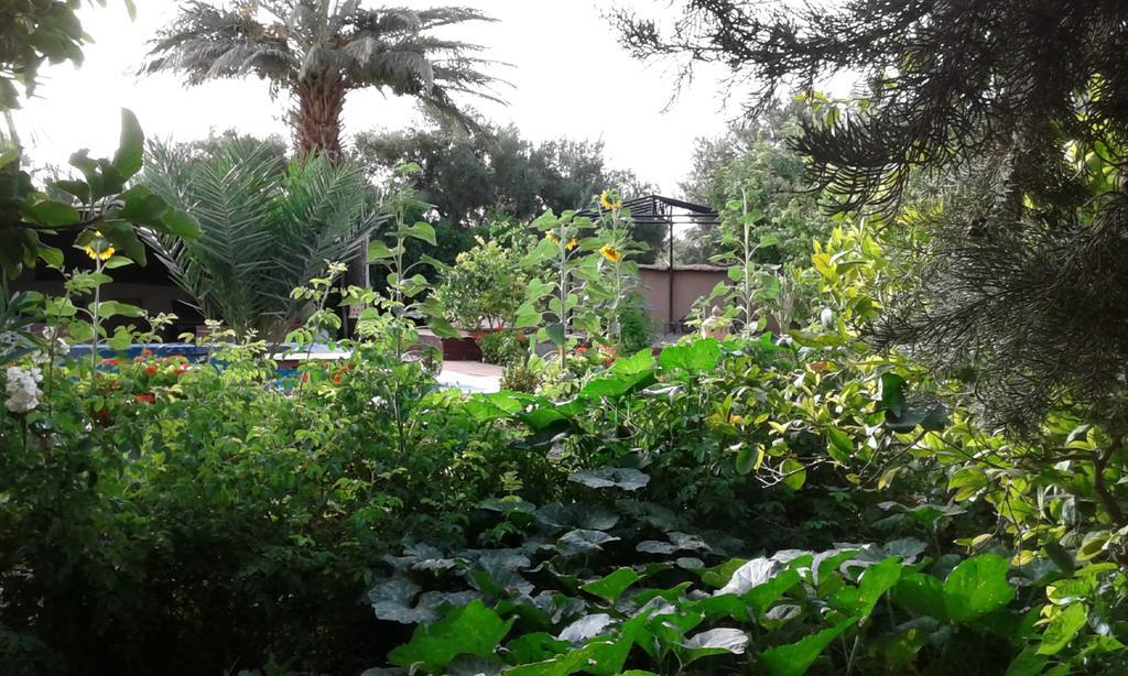Bassatine Skoura Bed & Breakfast Exterior photo